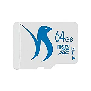 Best lg k7 phone memory