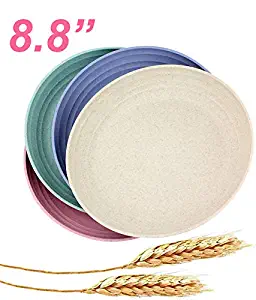 Best dishes microwave safe dishwasher safe