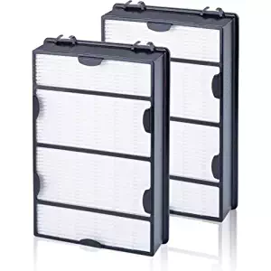 Best holmes hepa filter b filter
