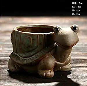 Best small desk plant pots