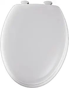 Best mayfair elongated easy clean toilet seat
