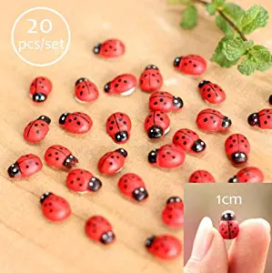 Best desert fairy garden accessories