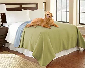 Best furniture protection for pets