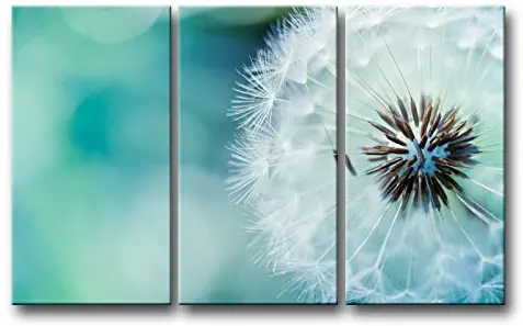 Best wall decor for living room mint