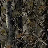 Best seat covers for a 2004 f150