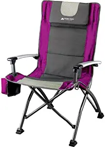 Best ozark trail kids director chair with side table