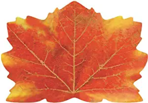 Best leaf placemats for dining table