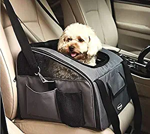Best car seat for small dogs