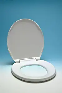 Best rv heated toilet seat