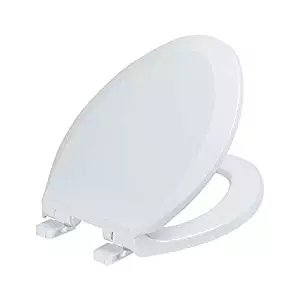 Best standard toilet seat replacement