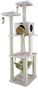 Best cat in a hammock