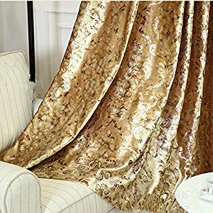 Best curtain european living room