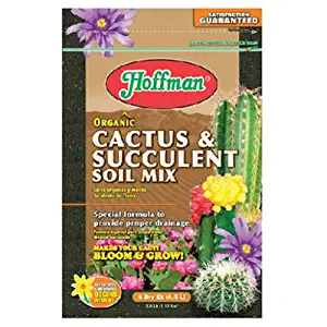 Best desert fairy garden accessories