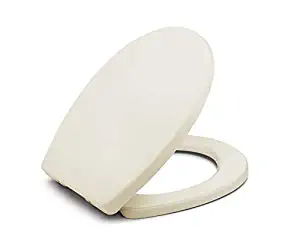 Best rv toilet seat slow close off white