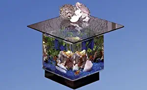 Best coffee table fish tanks