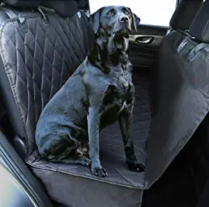 Best 60 lb. dog car seat