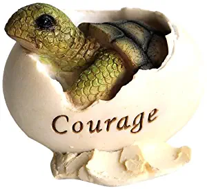 Best sea turtle desk accessories