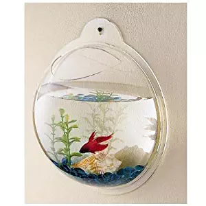 Best coffee table fish tanks