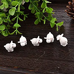 Best desert fairy garden accessories