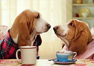 Best coffee table by basset