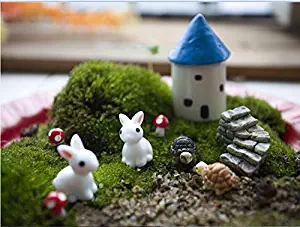 Best terrarium fairy garden kit