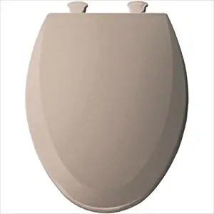 Best colored toilet seat grey