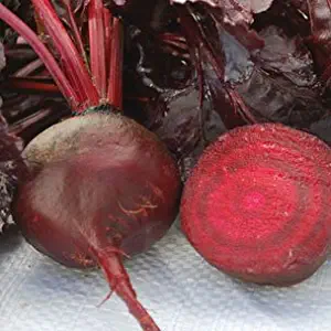 Bull's Blood Beet Seeds, 100+ Premium Heirloom Seeds, Top Selling Beet Seed Gardeners Choice, (Isla's Garden Seeds), Non Gmo Organic, 85% Germination Rates, Highest Quality, 100% Pure