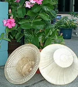 Thai Farmer Hat -Hand Woven Palm Leave/bamboo Hat