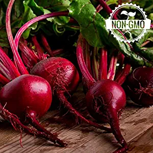 Gaea's Blessing Seeds - Organic Beet Seeds 150+ Seeds Detroit Dark Red Non-GMO Heirloom 92% Germination Rate