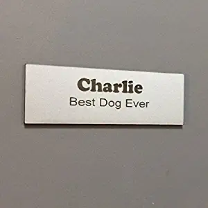 Office Nameplate Desktop or Wall Mount Custom Engraved Sign Select Your Size and Color - Smooth Silver/Black Letters - 1