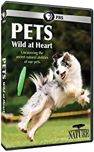 Nature: Pets - Wild at Heart