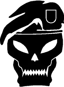 BD USA Call of Duty Skull Decal, Decal Sticker Vinyl Car Home Truck Window Laptop