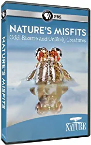Nature: Animal Misfits