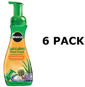 Miracle-Gro Foaming Succulent Plant Food, 8 oz (6 Pack)