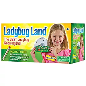 Insect Lore Original Ladybug Land with Voucher