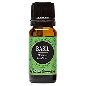 Edens Garden Basil Essential Oil, 100% Pure Therapeutic Grade (Highest Quality Aromatherapy Oils- Pain & Sleep), 10 ml