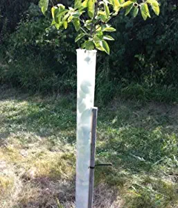 60" Miracle Tree Tube (25)