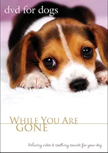 DVD For Dogs: While You Are Gone (Relaxing Dog Video, Dog Movie for Separation Anxiety)