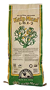 Down To Earth All Natural Kelp Meal 1-0.1-2 - 20 lb 01966