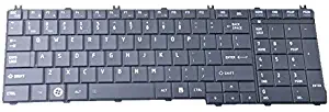 Eathtek Replacement Keyboard for Toshiba Satellite L775D-S7110 L775D-S7112 L775D-S7132 L775D-S7107 L775D-S7108 C655-S5128 C655-S5305 S5307 S5310 NSK-TNOSV 01 NSK-TN0SV Series Black US Layout