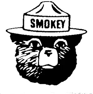 Smokey The Bear NOK Decal Vinyl Sticker |Cars Trucks Vans Walls Laptop|Black|5.5 x 5.3 in|NOK154