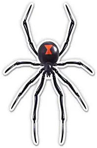 GT Graphics Express Black Widow Spider - 3" Vinyl Sticker - for Car Laptop I-Pad Phone Helmet Hard Hat - Waterproof Decal