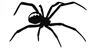 Black Widow Spider Decal Vinyl Sticker|Cars Trucks Vans Walls Laptop| Black|5.5 x 3.3 in|DUC740