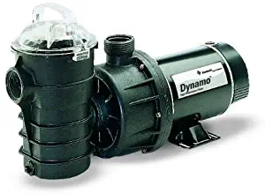 Pentair 340106 Stainless Steel Black Dynamo Single Speed Pump without Cord, 1-1/2-Horsepower