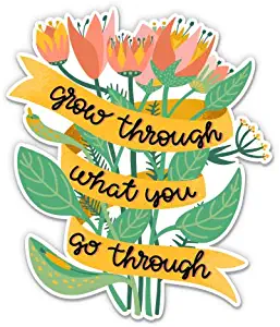 GT Graphics Express Grow Through What You Go Through Inspirational - Vinyl Sticker Waterproof Decal