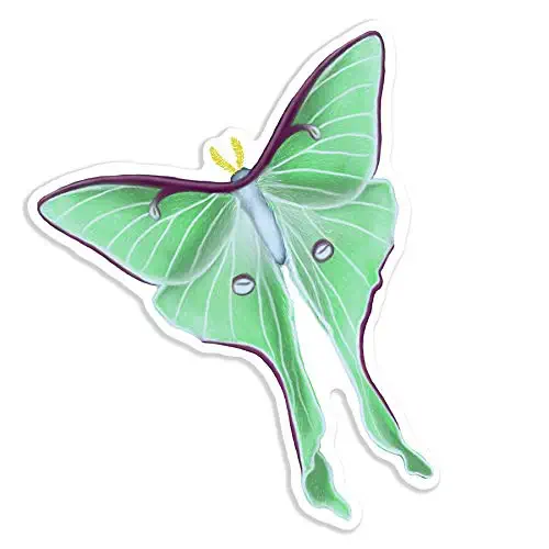 Luna Moth WATERPROOF Vinyl Sticker for Laptop, Phone or Water Bottle