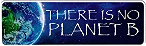 StarShine Arts There is No Planet B - Small Bumper Sticker or Laptop Decal (5.5" X 1.75")