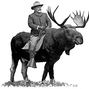 LA STICKERS Teddy Roosevelt Riding A Bull Moose - Sticker Graphic - Auto, Wall, Laptop, Cell, Truck Sticker for Windows, Cars, Trucks