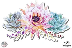 Succulents Flowers Cute Watercolor - 3" Vinyl Sticker - For Car Laptop I-Pad Phone Helmet Hard Hat - Waterproof Decal